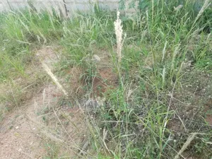 Half Plot of Land for Sale