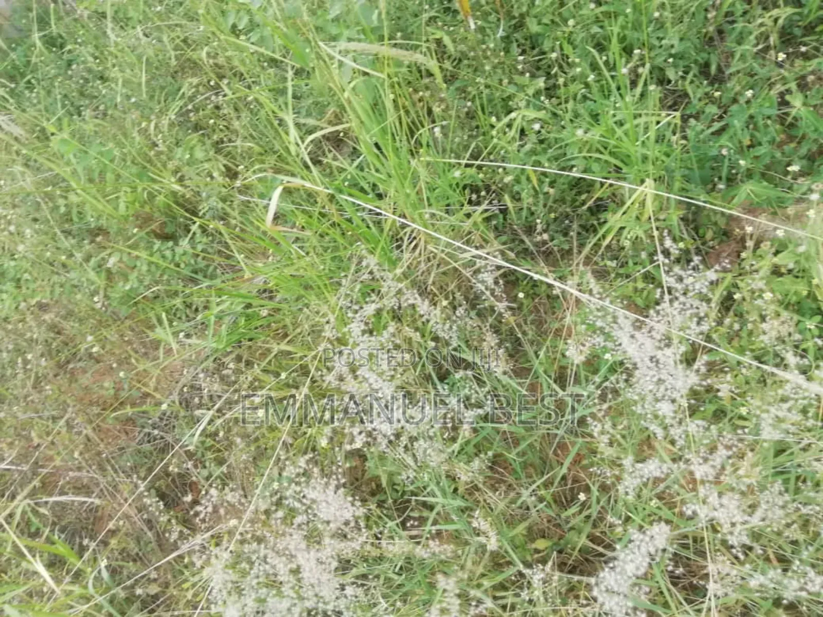 Half Plot of Land for Sale