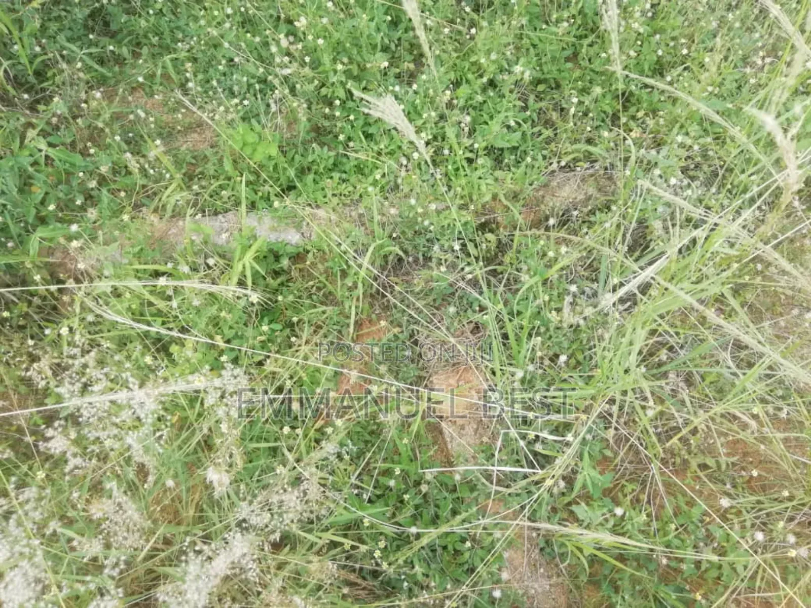 Half Plot of Land for Sale
