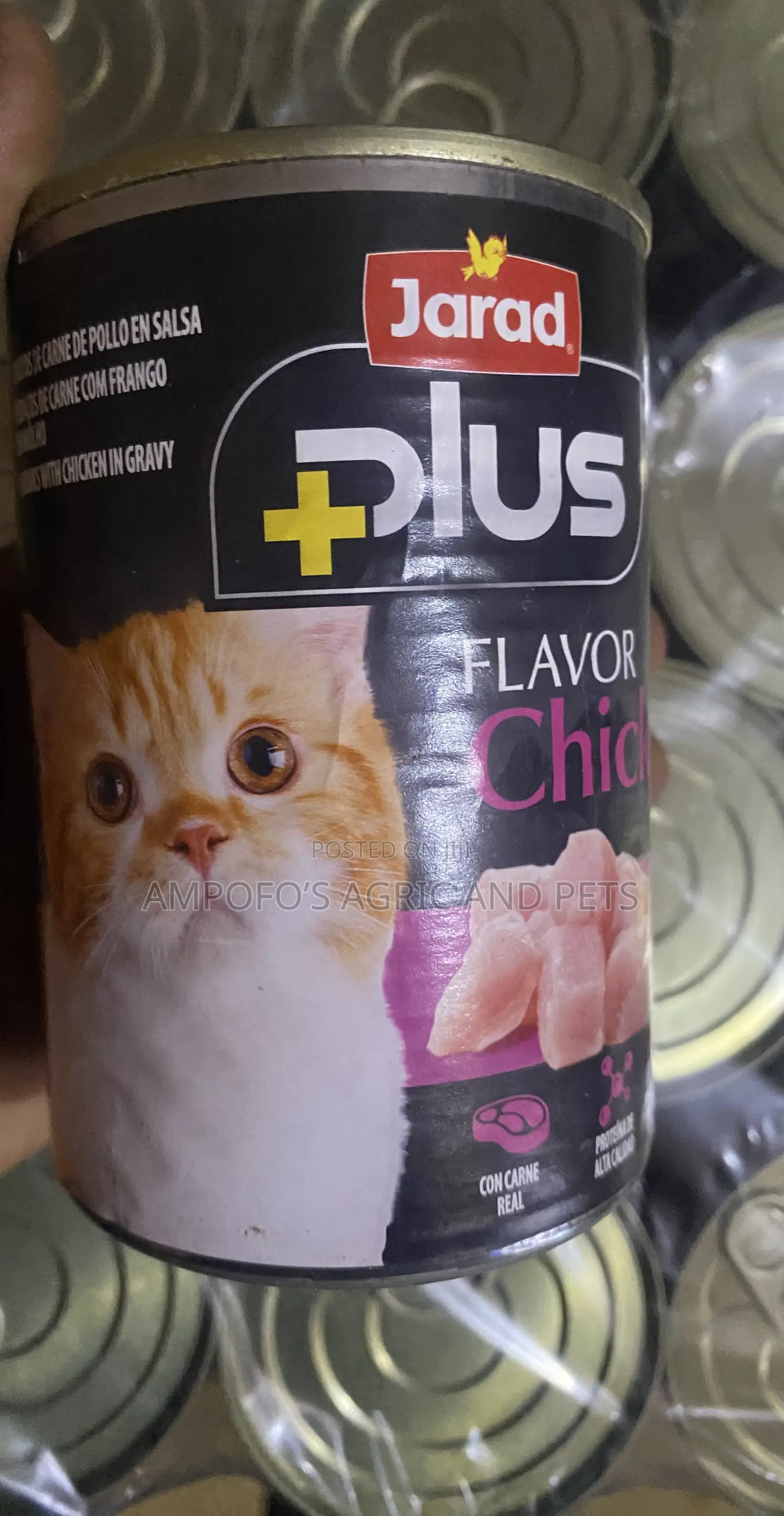 Cats Canned Food