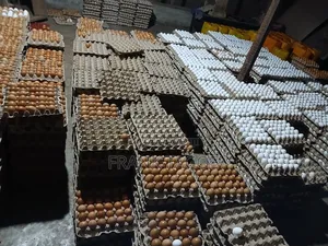 Fresh Eggs Directly From the Farm for Sale.