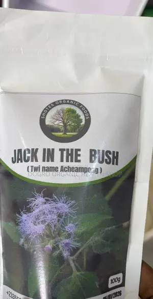 Jack in the Bush Powder