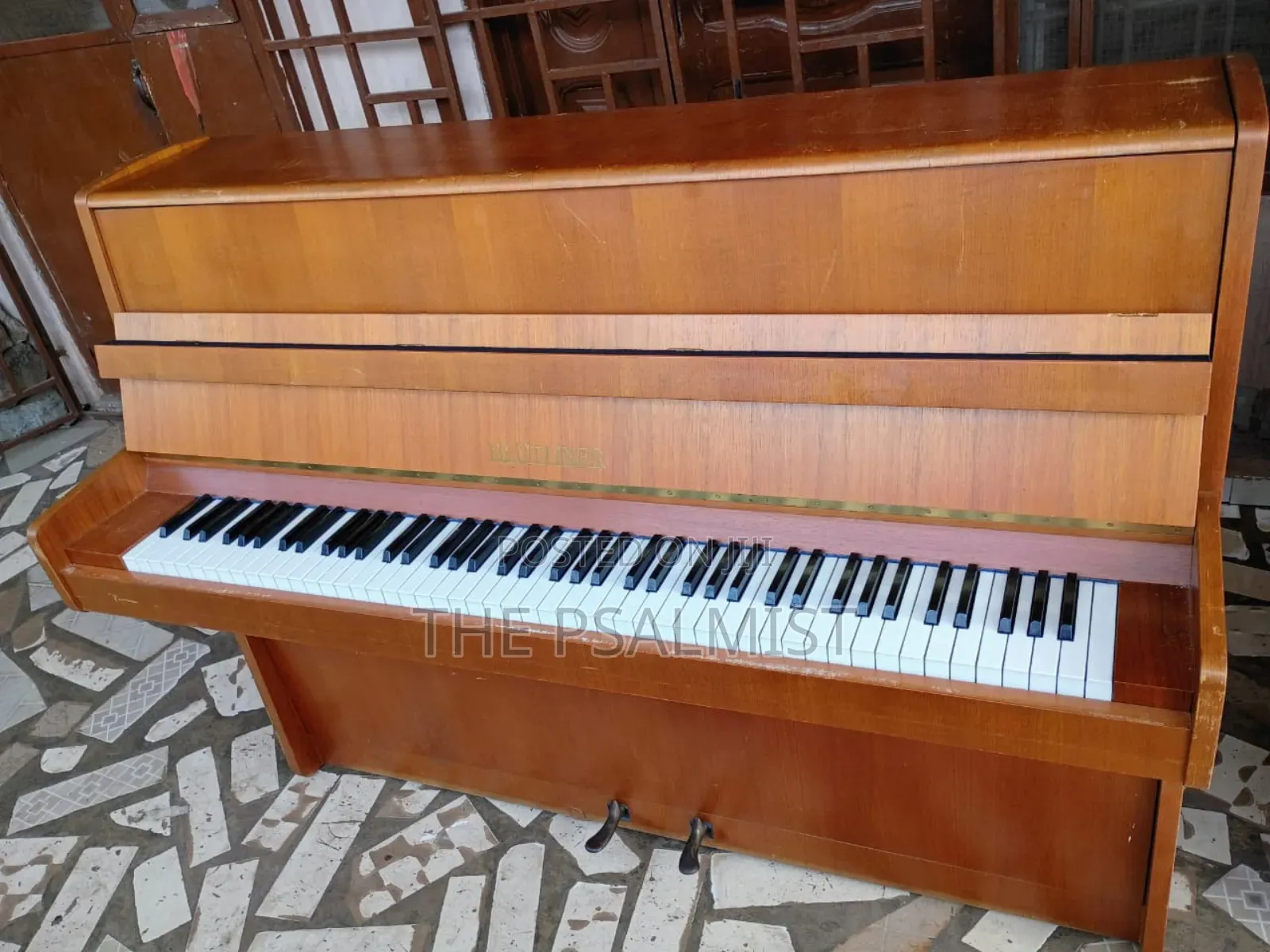 Bluthner Acoustic Piano(Brand New)