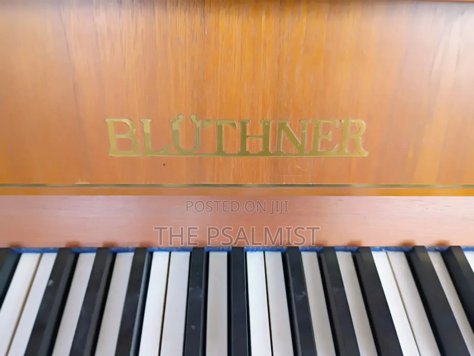 Bluthner Acoustic Piano(Brand New)