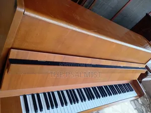 Bluthner Acoustic Piano(Brand New)