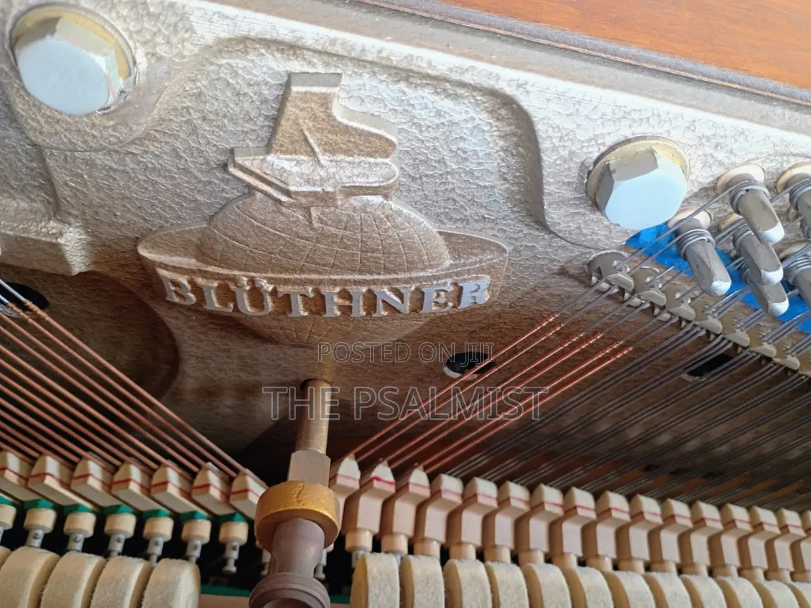 Bluthner Acoustic Piano(Brand New)