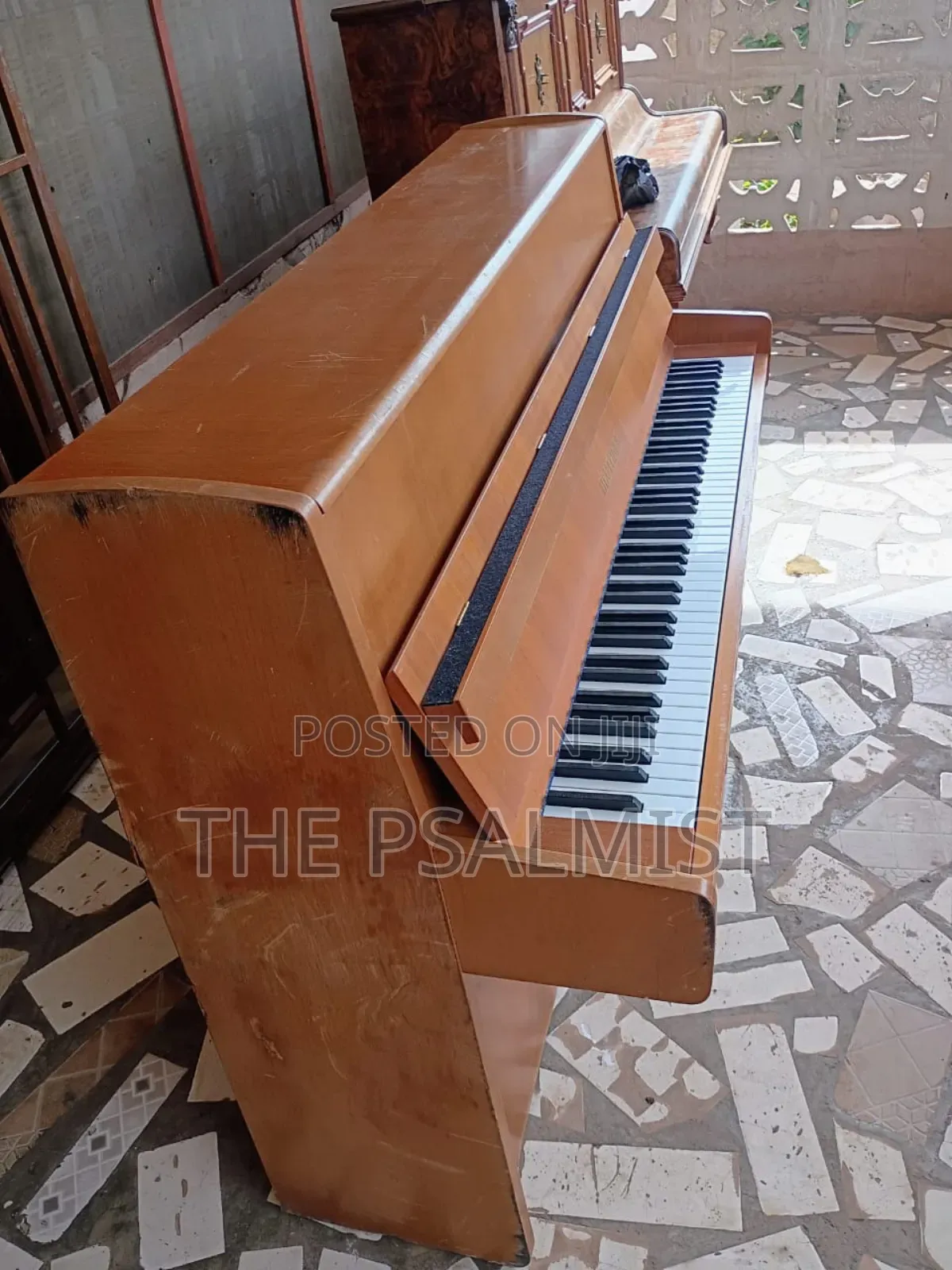 Bluthner Acoustic Piano(Brand New)