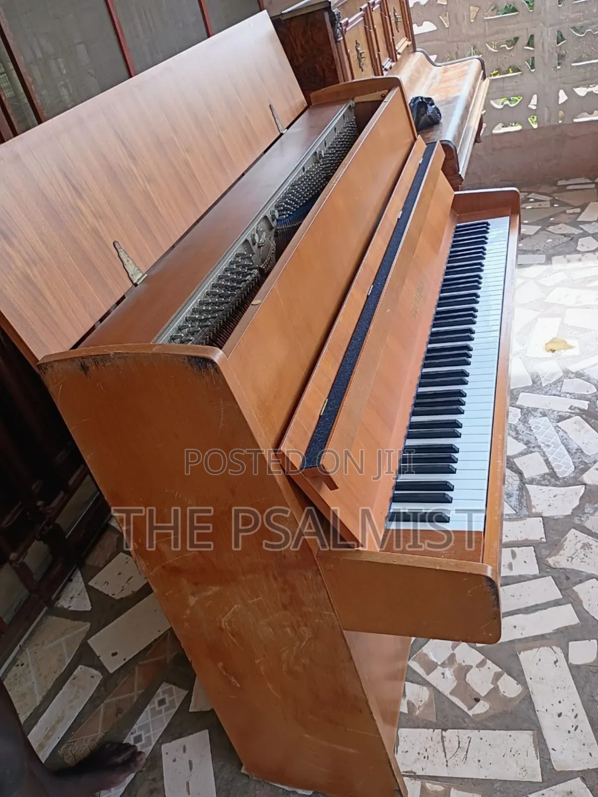 Bluthner Acoustic Piano(Brand New)