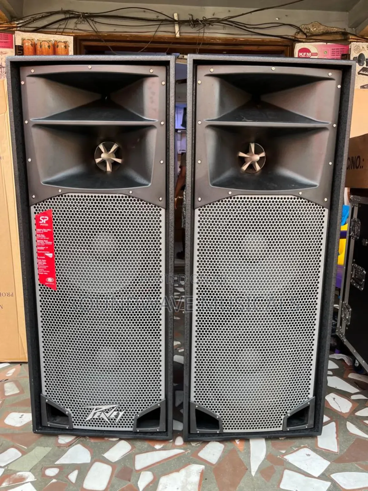 Professional Peavey Full Range