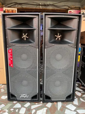 Professional Peavey Full Range