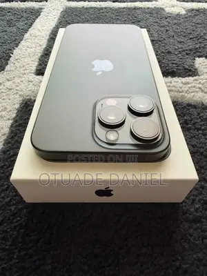 Apple iPhone 15 Pro Max 256 GB Gray