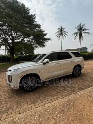 Hyundai Palisade Calligraphy 2023 White