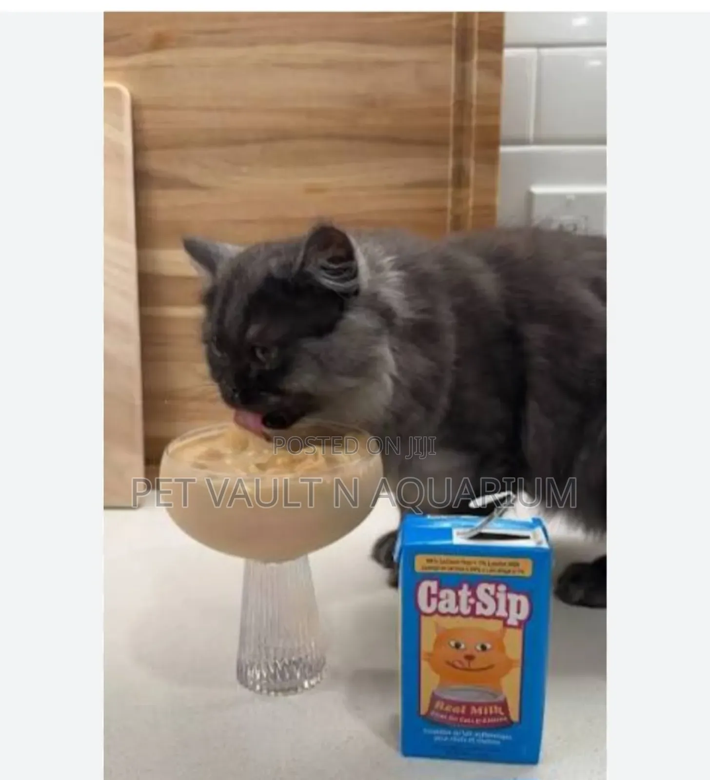 Real Milk Sip for Kitten and Cat
