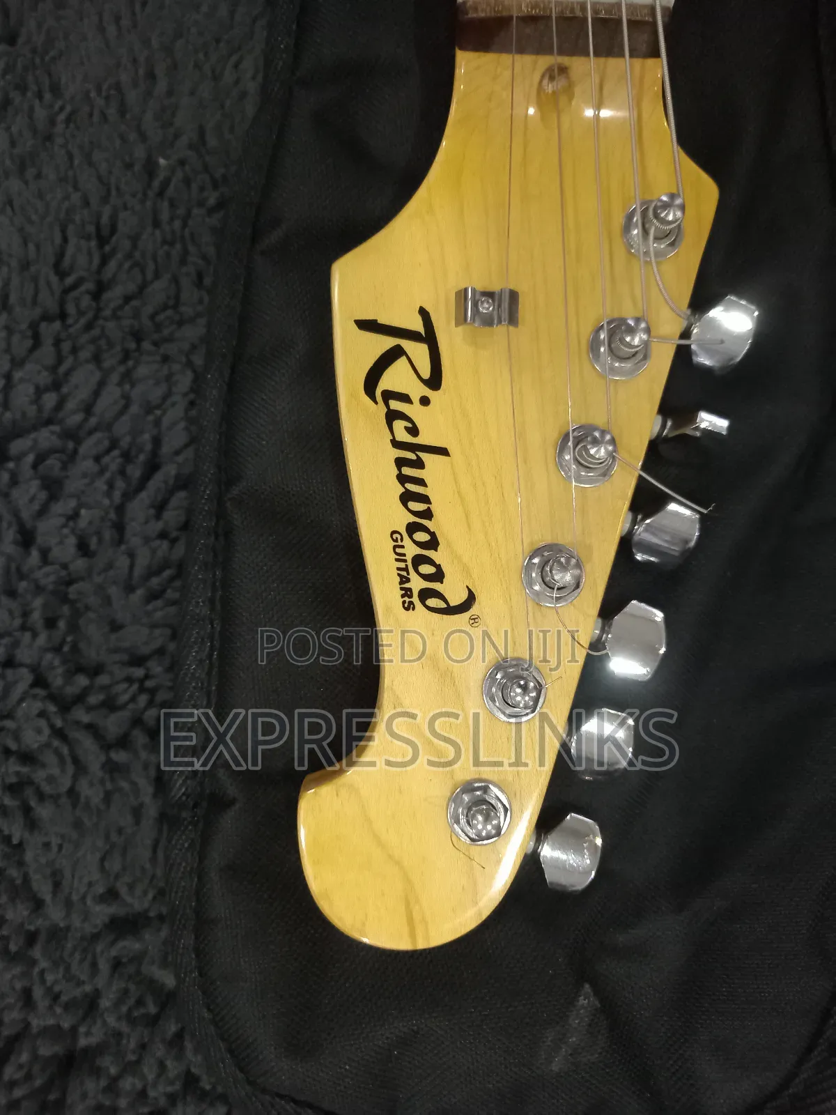 Richwood Professional Lead Guitar