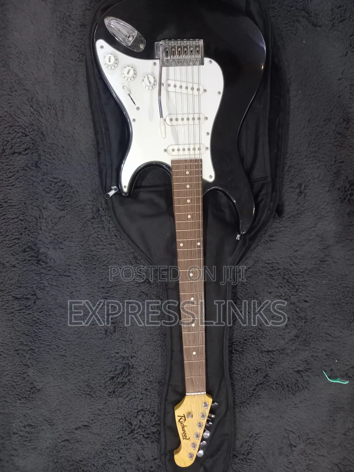 Richwood Professional Lead Guitar
