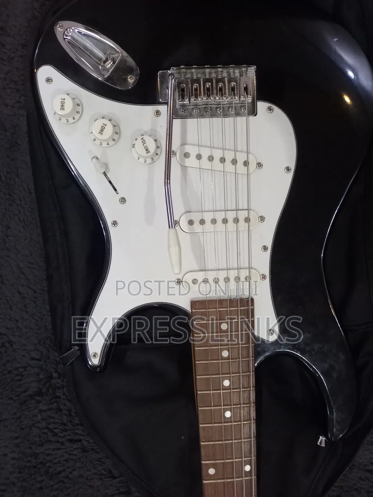 Richwood Professional Lead Guitar