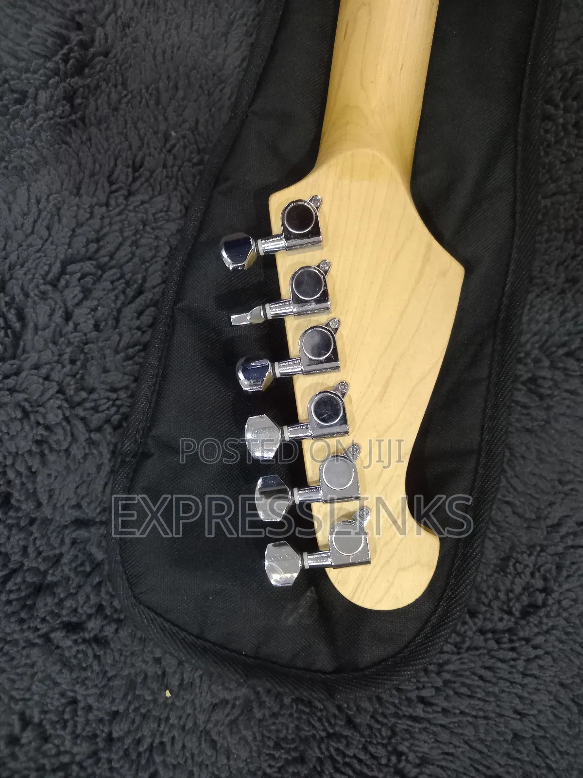 Richwood Professional Lead Guitar