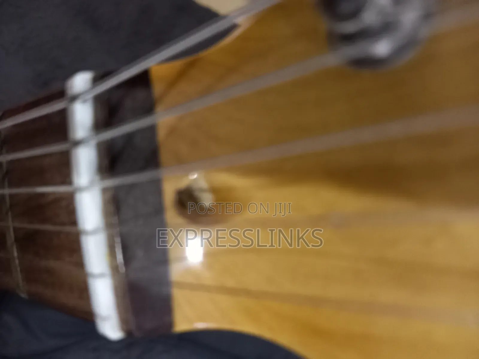 Richwood Professional Lead Guitar