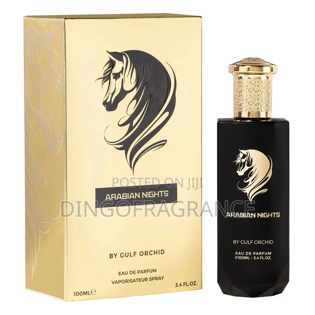 Arabian Night by Gulf Orchid