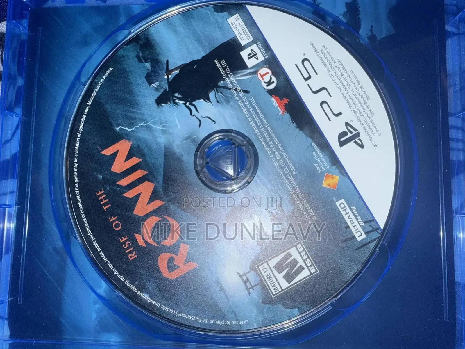 Rise of the Ronin
