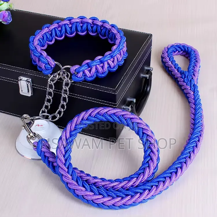 Woven Leash With Choke Collar