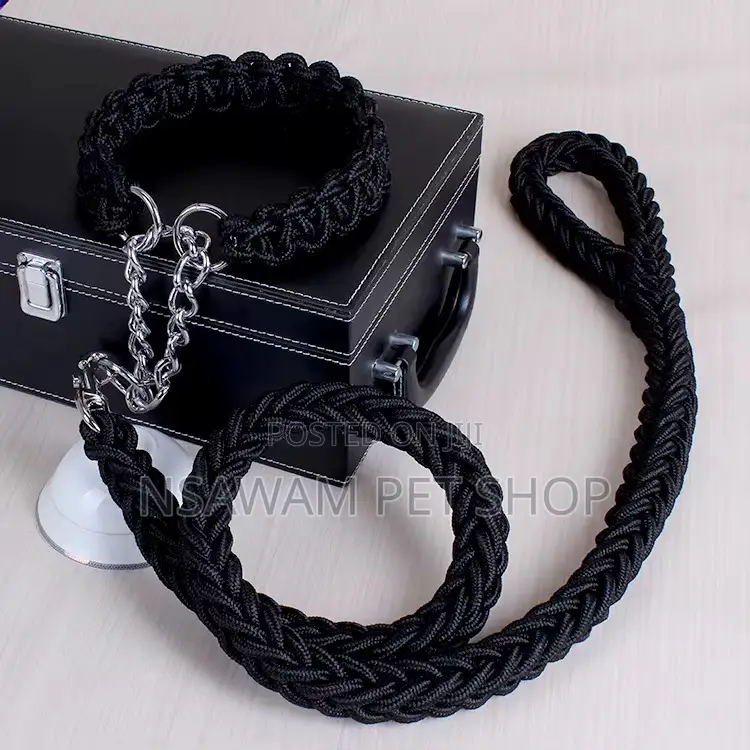 Woven Leash With Choke Collar