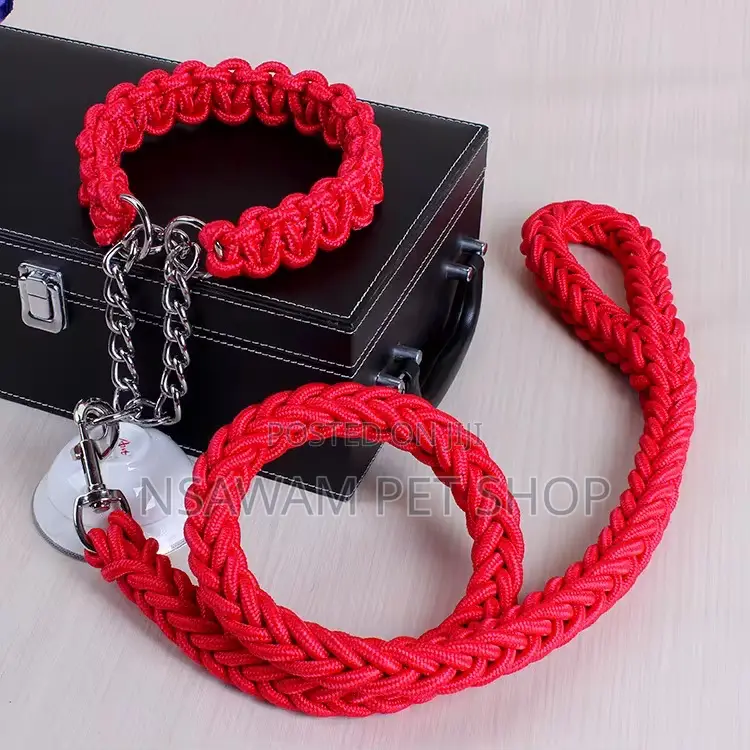 Woven Leash With Choke Collar