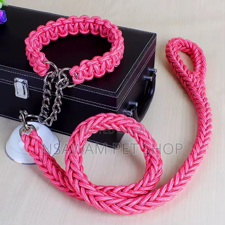 Woven Leash With Choke Collar