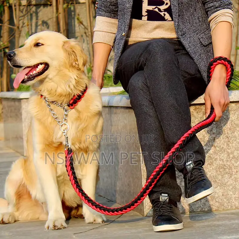 Woven Leash With Choke Collar