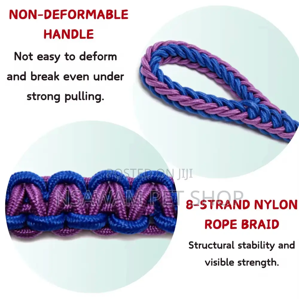 Woven Leash With Choke Collar