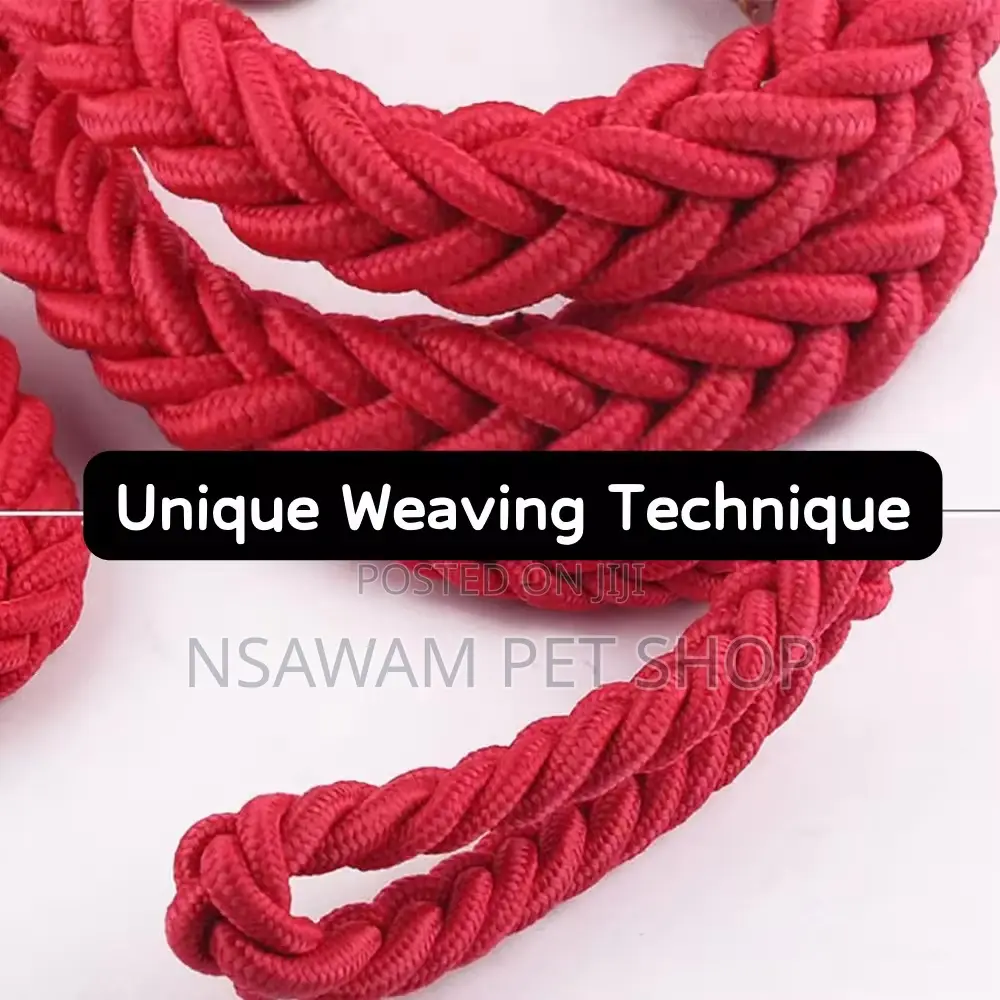 Woven Leash With Choke Collar