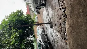 Professional Mechanic