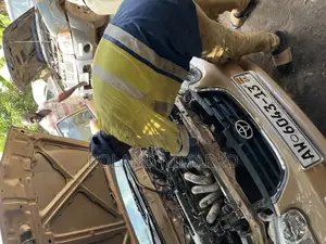 Professional Mechanic