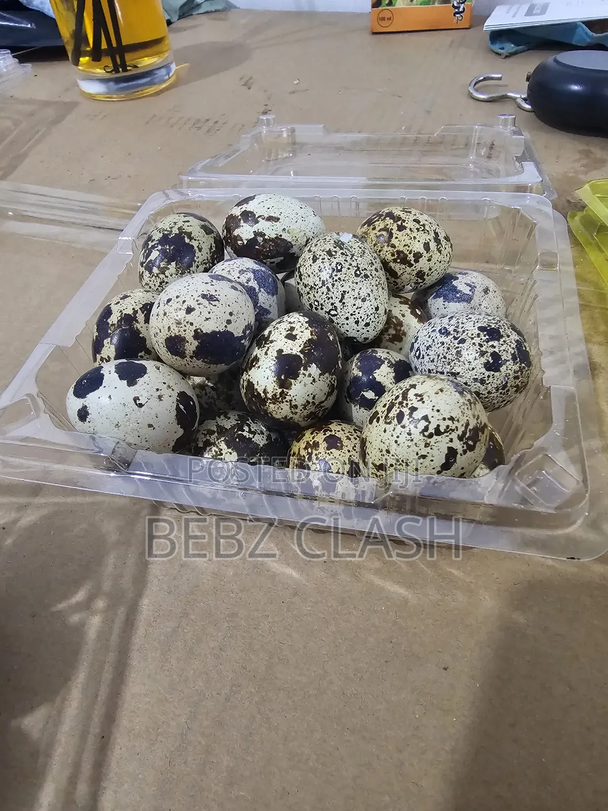 Quail Eggs for Sale in Koforidua