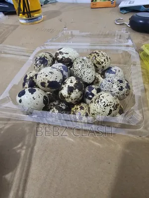 Quail Eggs for Sale in Koforidua