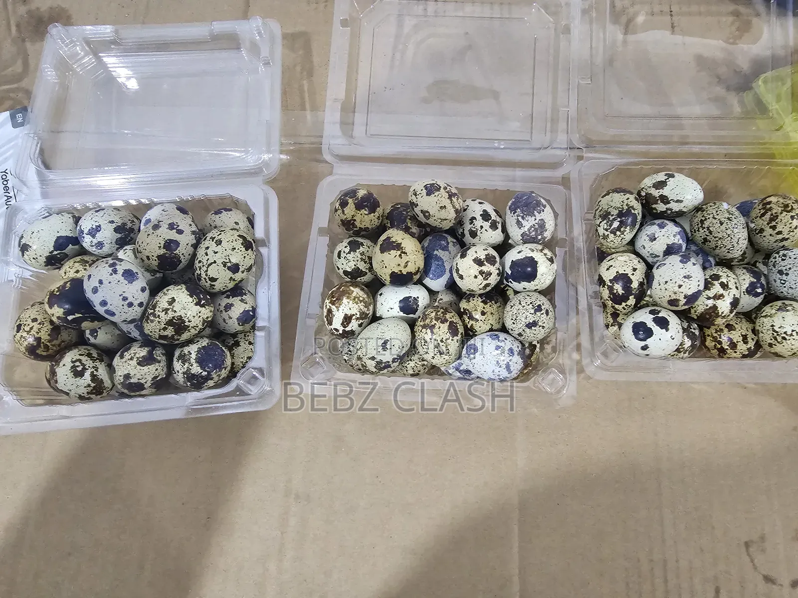 Quail Eggs for Sale in Koforidua