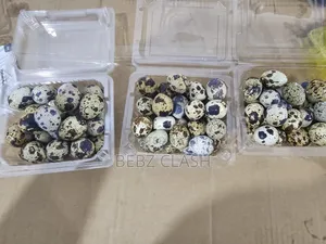 Quail Eggs for Sale in Koforidua