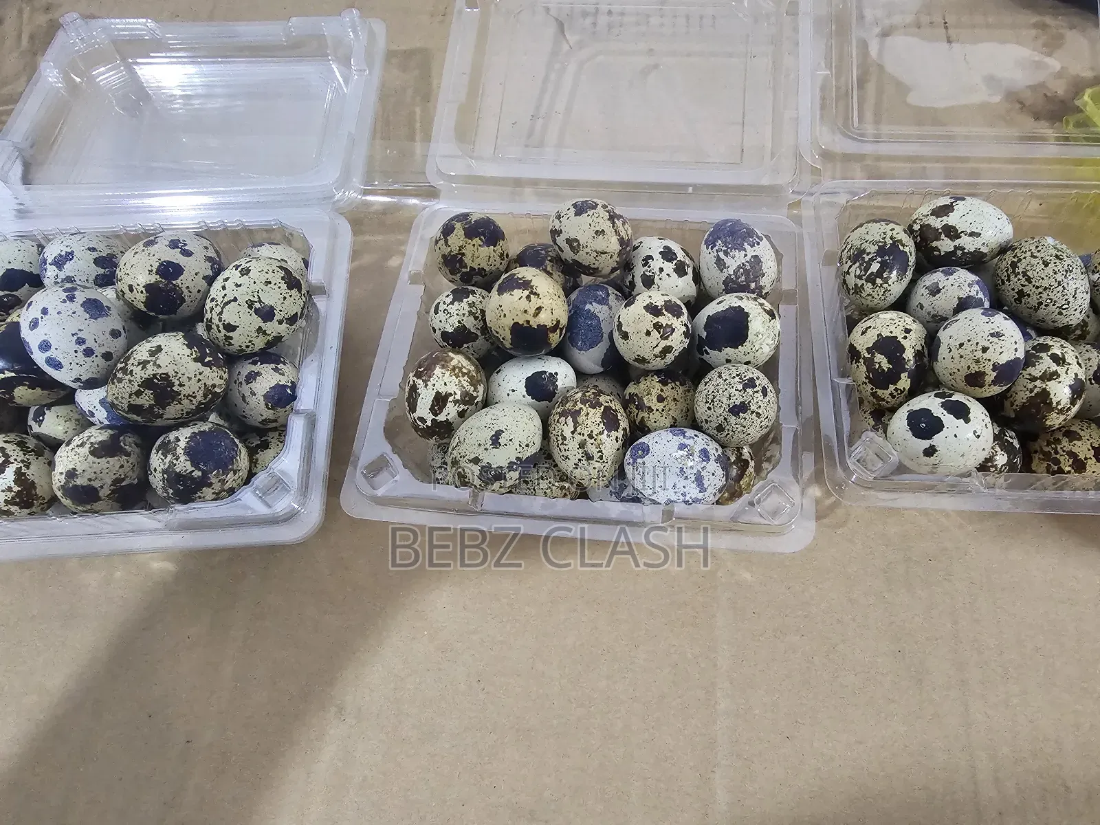 Quail Eggs for Sale in Koforidua