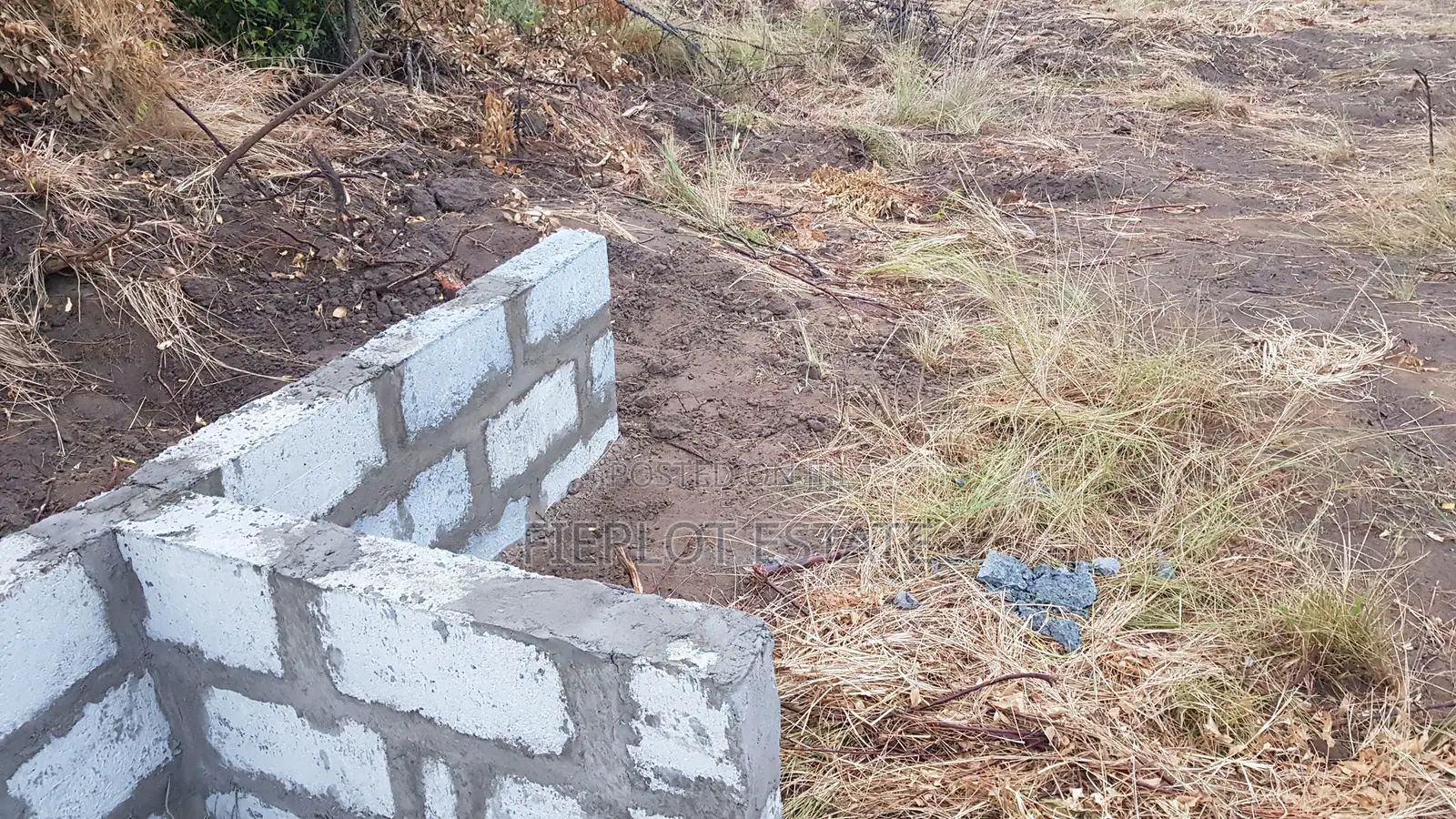 Modern Living Half Plots — 70x50ft at Tsopoli Skyport