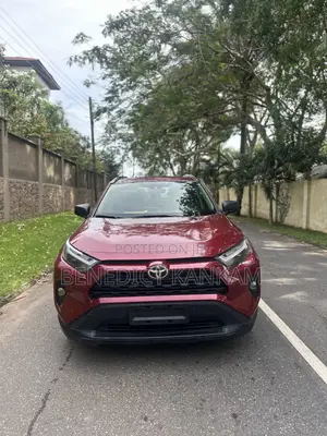 Toyota RAV4 LE AWD 2019 Burgundy