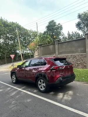 Toyota RAV4 LE AWD 2019 Burgundy
