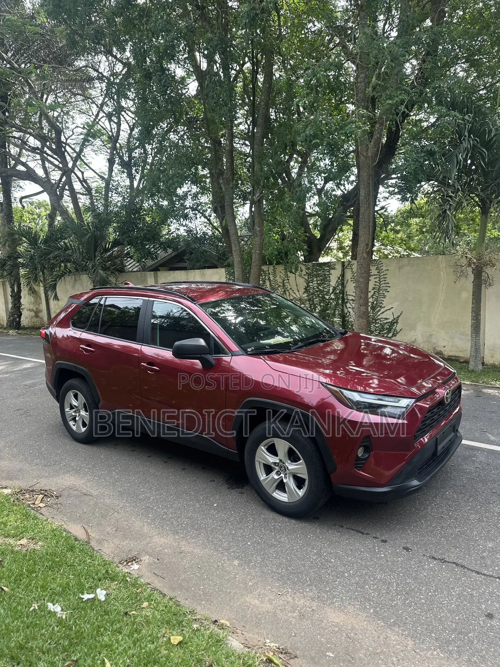 Toyota RAV4 LE AWD 2019 Burgundy