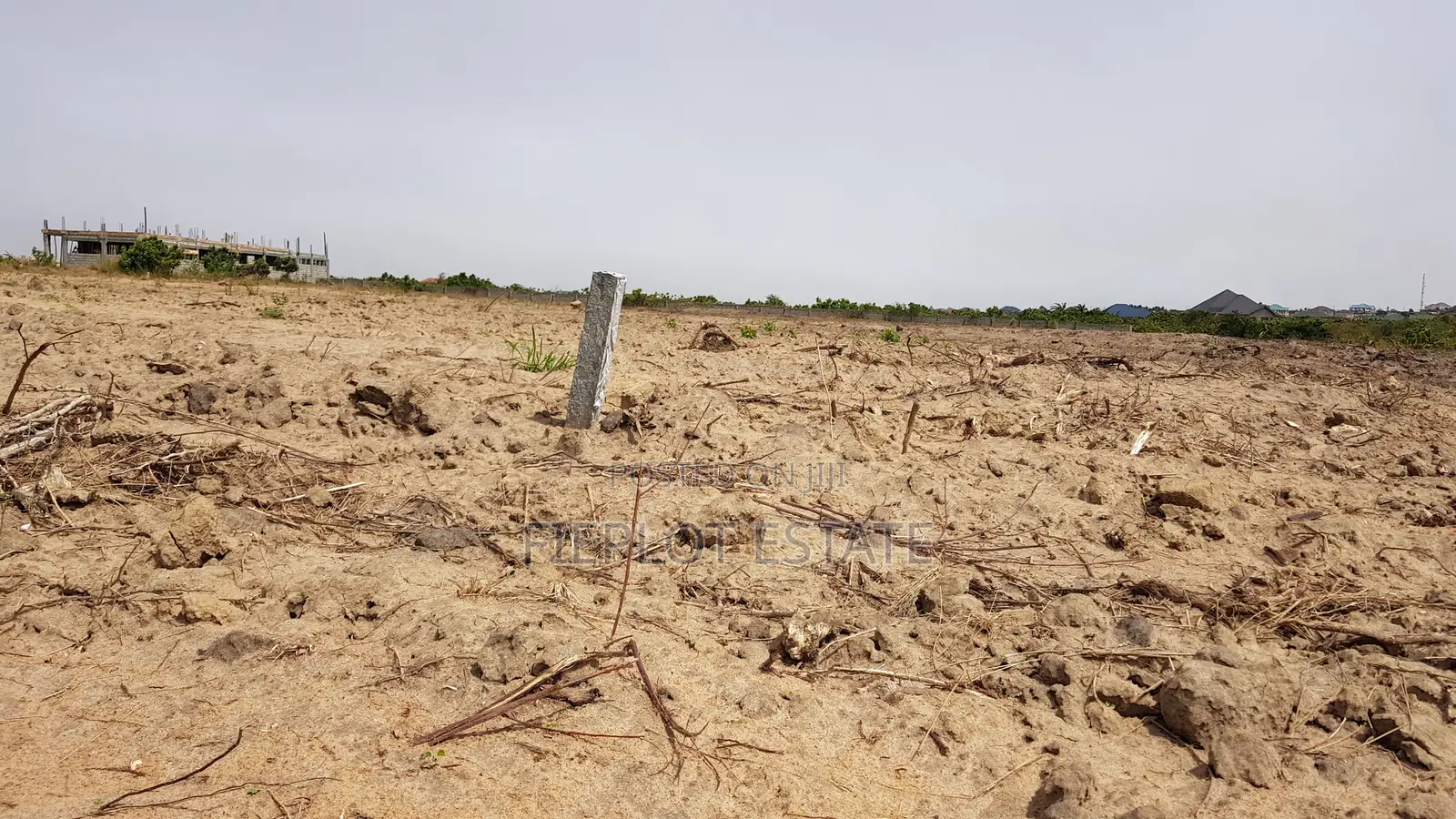 Half Plot Investment Opportunity — Registered Lands at Tsopoli Skyport