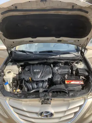 We Was Car Engine to Look Clean, No Damage and Also Detailing Service