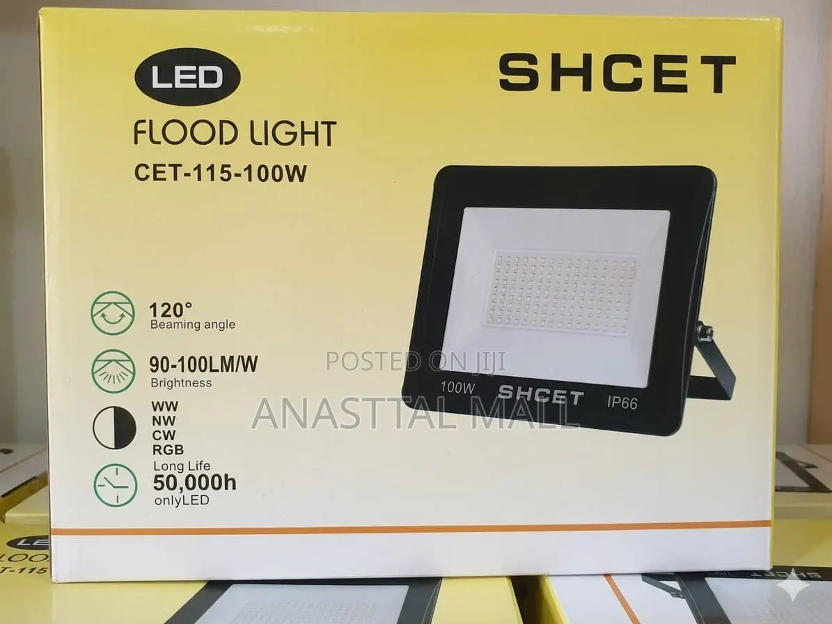 Flood Light 100w
