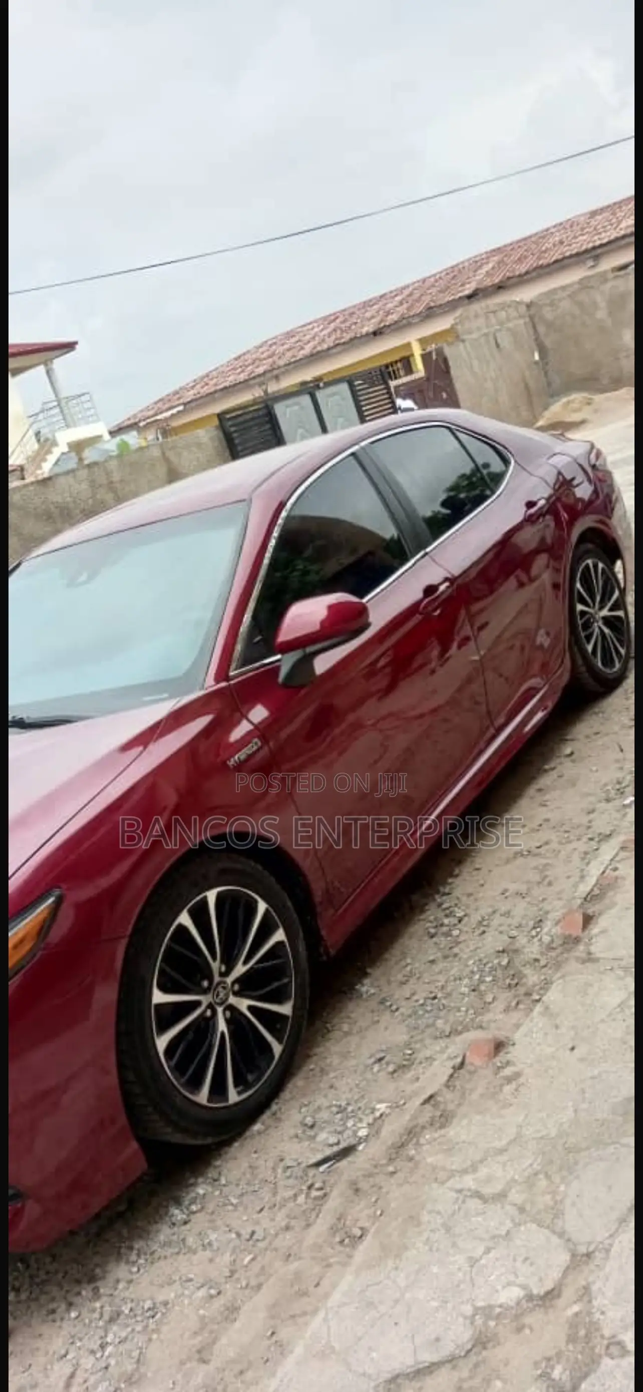 All Car Tint