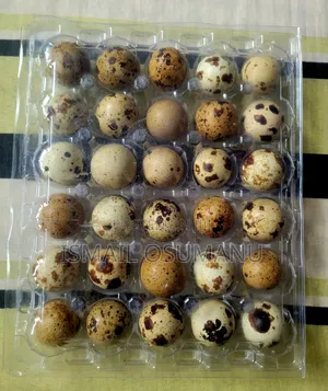 Fresh Quail Eggs – Farm Fresh Healthy