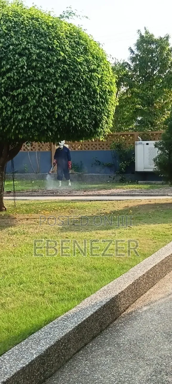 Fumigation Services