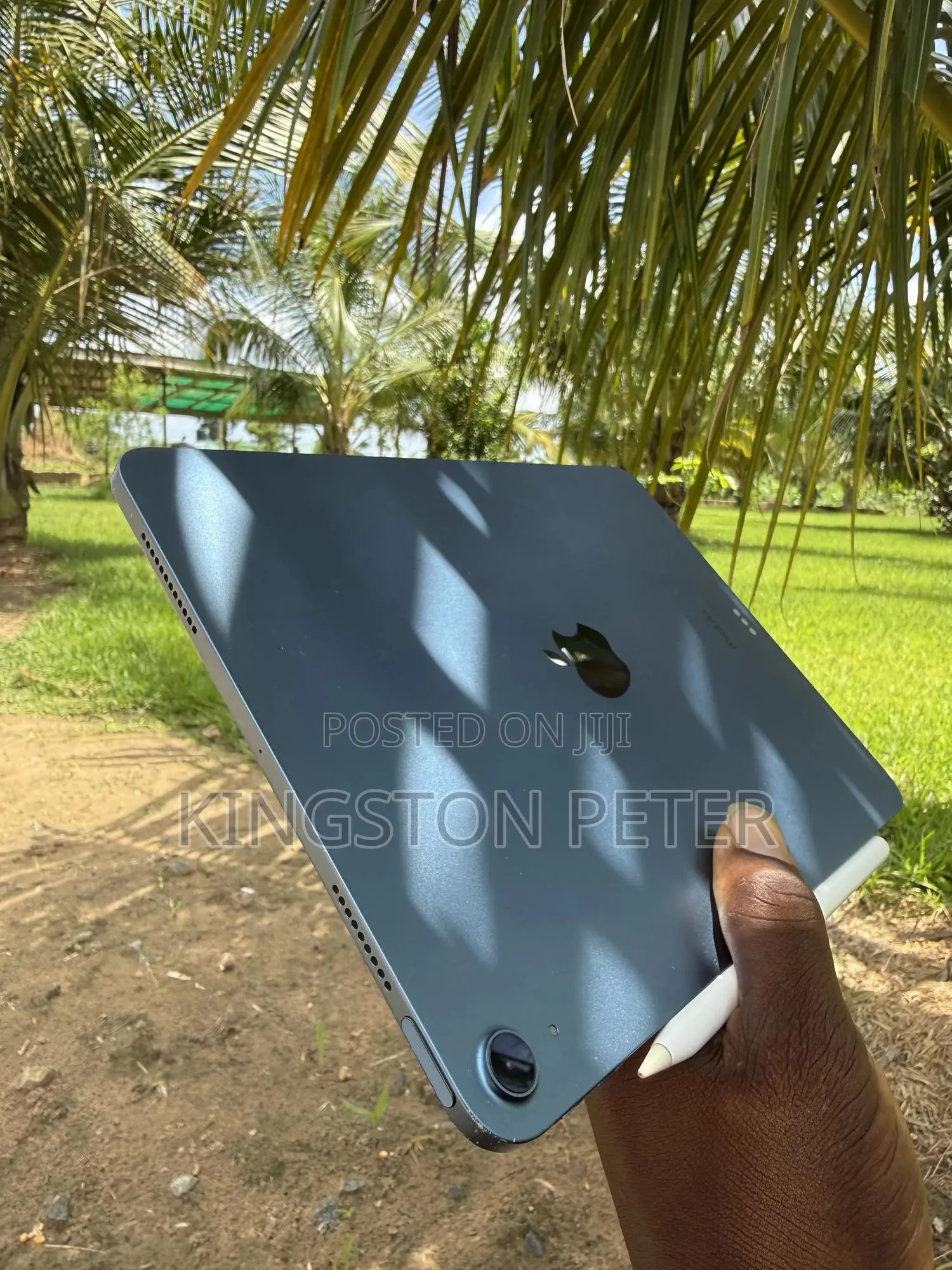 Apple iPad Air 256 GB Blue