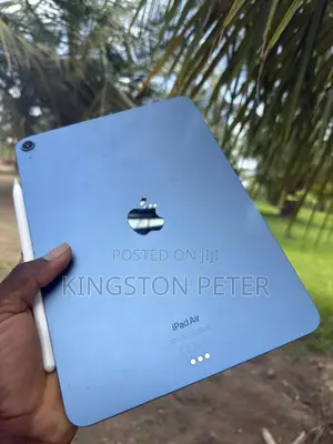 Apple iPad Air 256 GB Blue